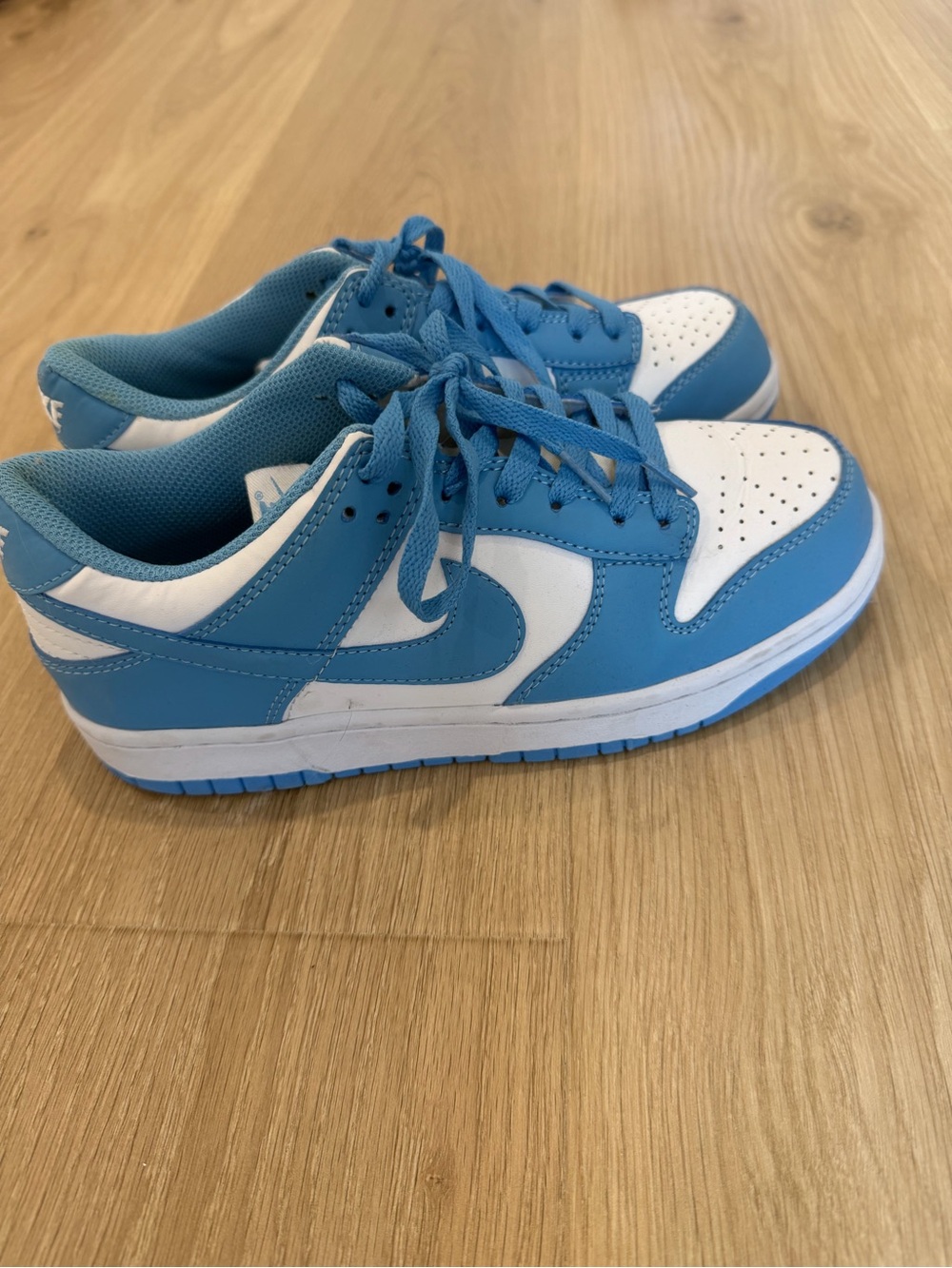 Blue Nike Dunk Sneakers